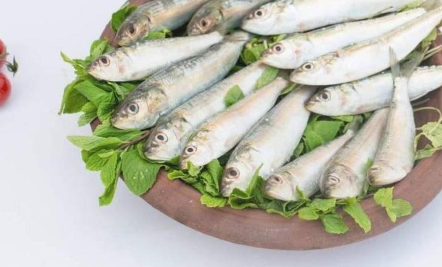 Dubai Hotel & Restaurant كوماراكوم المظهر الخارجي الصورة